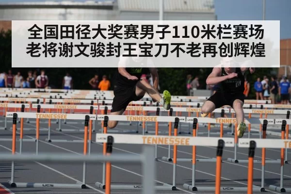 全国田径大奖赛男子110米栏赛场老将谢文骏封王宝刀不老再创辉煌